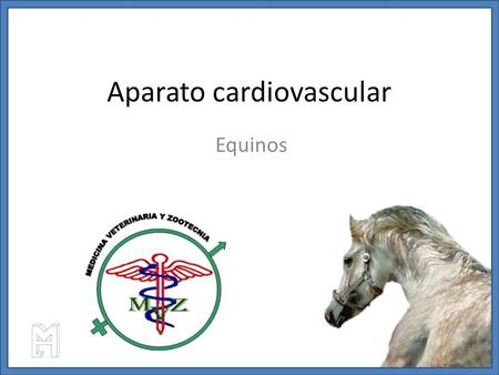 Aparato cardiovascular Equinos. Comparativo entre arterias y venas.